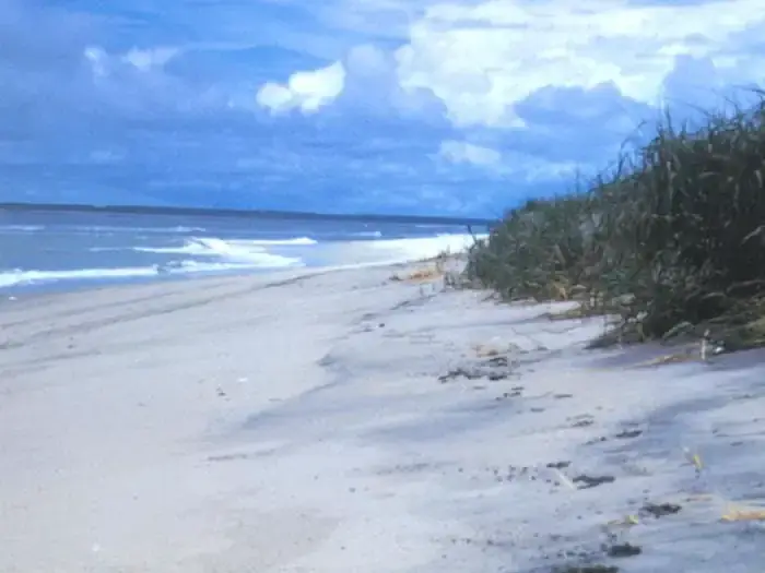 Assateague Island National Seashore beach and dunes