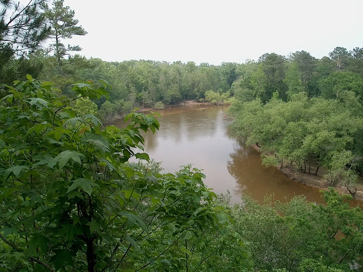 Cliffs of the Neuse State Park: Cliffs of the Neuse State Park. © 2005 Wyatt Greene