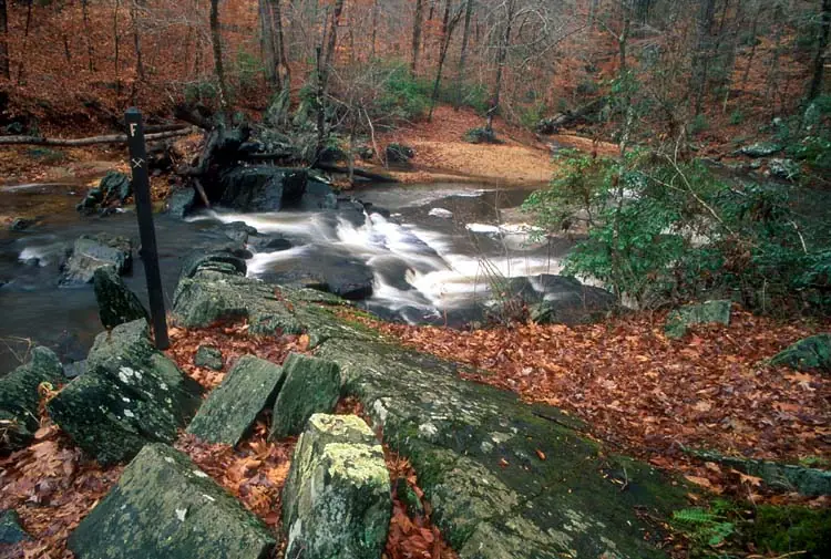 Prince William Forest Park: One of many small cascades on the North Valley Trail in Prince William forest park